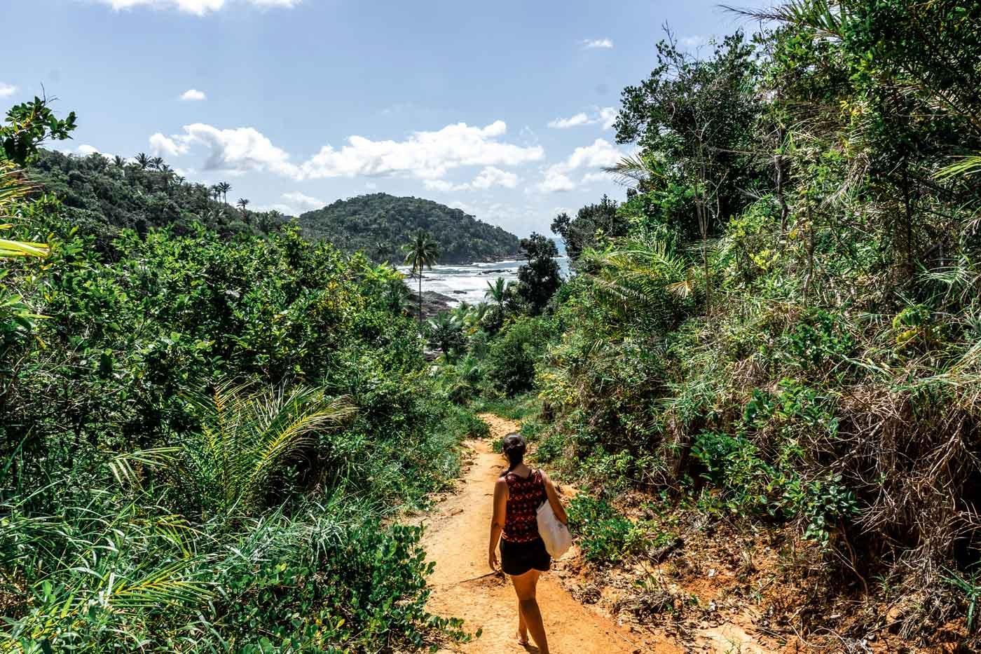 Trilha na Mata Atl&acirc;ntica levando a uma cachoeira em Itacar&eacute;, Bahia, cercada por vegeta&ccedil;&atilde;o exuberante.